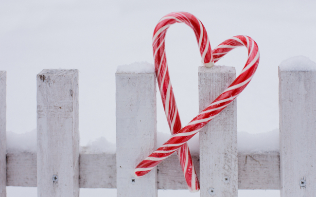 Μηνιαίες αισθηματικές προβλέψεις Ταρώ Ιανουαρίου 2026.