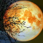 Έκλειψη Σελήνης στον Σκορπιό στις 16 Μαΐου 2022. Προβλέψεις για τα ζώδια.