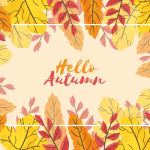 Φθινοπωρινή Ισημερία 2025: Βρες την άγκυρα στην καταιγίδα της καρδιάς σου!